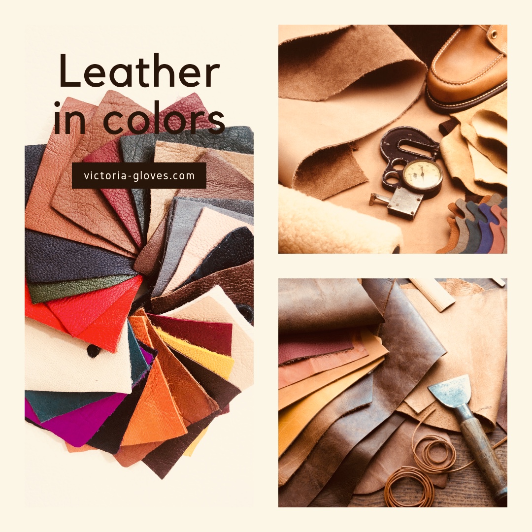 IMG-0433 Leather in Colors - Victoria gloves online: shop gloves in leather